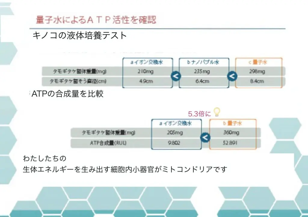 νG-7(ニュージーセブン) - 株式会社 ウエルネス