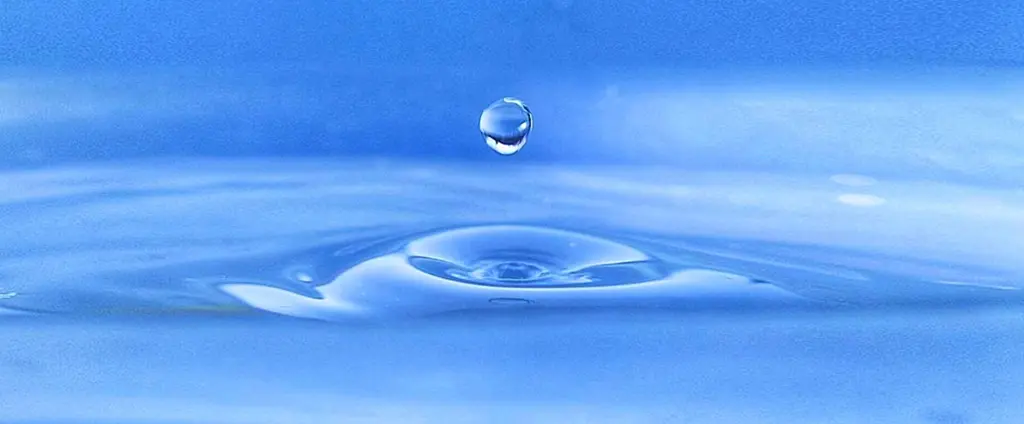 株式会社 ウエルネス