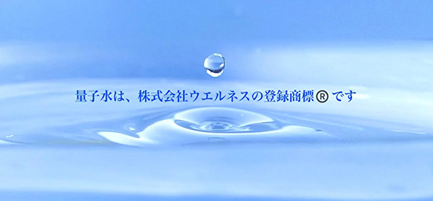 株式会社 ウエルネス